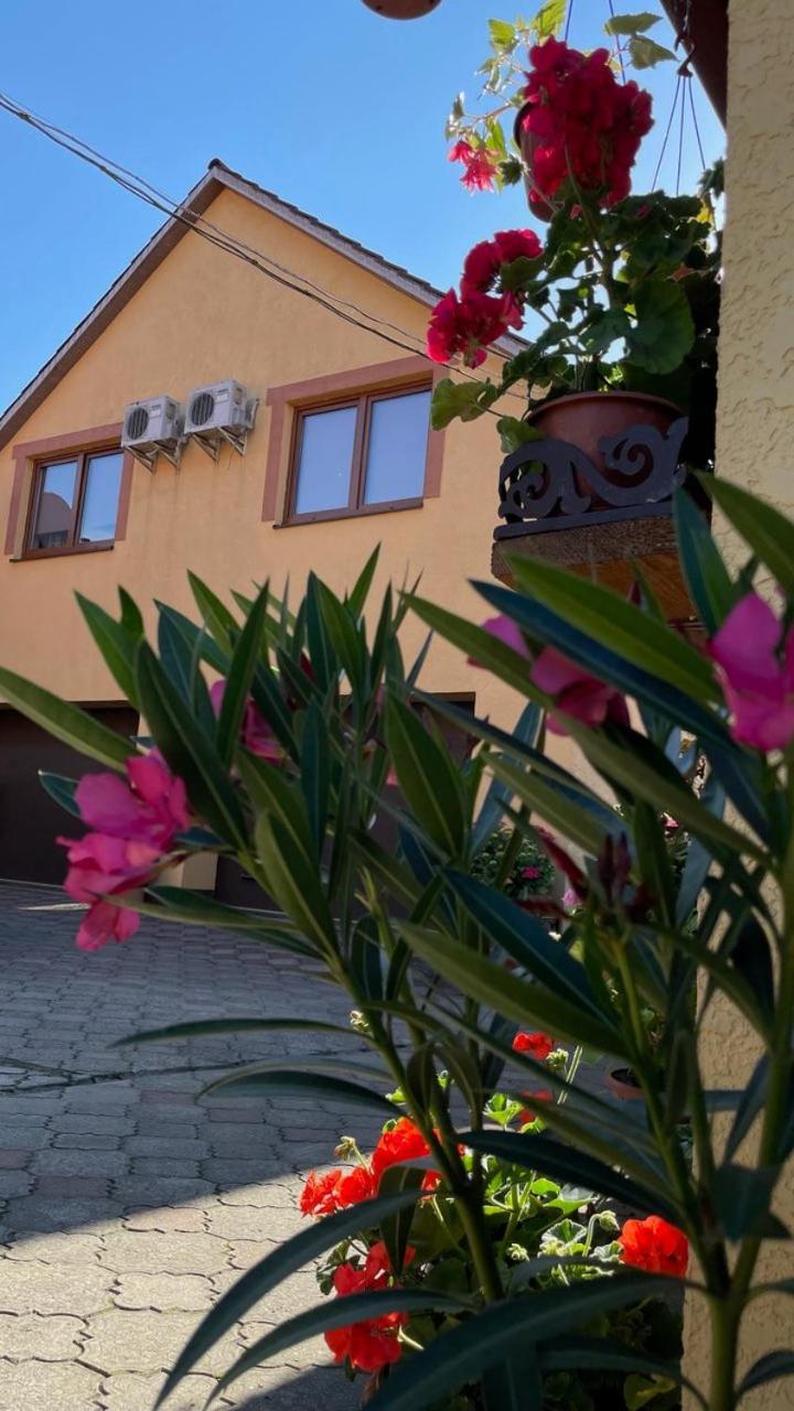 Квітковий Двір Golubinoye Exteriér fotografie