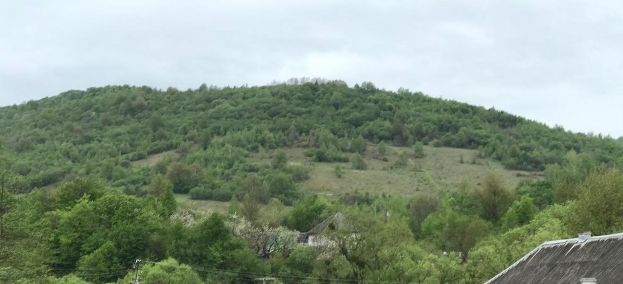 Квітковий Двір Golubinoye Exteriér fotografie